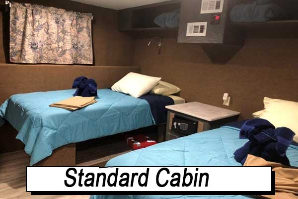 Standard Stateroom - Queen